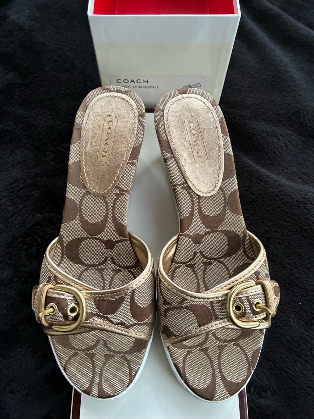 COACH Brown Signature Logo Slide Sandals with Gold Buckles